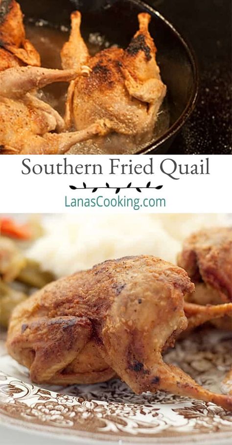 Southern Fried Quail - A southern delicacy straight out of my childhood - simply seasoned, deep fried quail. From @NevrEnoughThyme https://www.lanascooking.com/southern-fried-quail/ Quale Bird Recipes, How To Cook Quail, Cooking Quail, Fried Quail Recipes, Quail Meat, Rabbit Recipes, Quail Recipes, Fried Quail, Game Meat