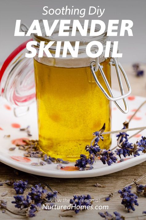 How to Make Soothing DIY Lavender Skin Oil (Try this!) - Nurtured Homes Diy Lavender Oil How To Make, Making Lavender Oil, Lavender Oil Diy, Lavender Oil Recipes, Apothecary Supplies, Lavender Projects, Lavender Oil For Skin, Lavender Oil For Hair, Lavendar Oil