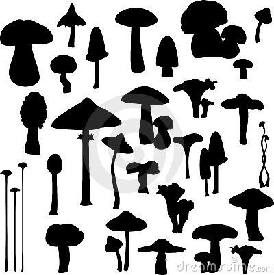 Different Mushrooms, Mushrooms Illustration, Variety Food, Mushroom Drawing, Fairy Jars, Nursery Mural, Silhouette Painting, Silhouette Images, Tree Tattoo