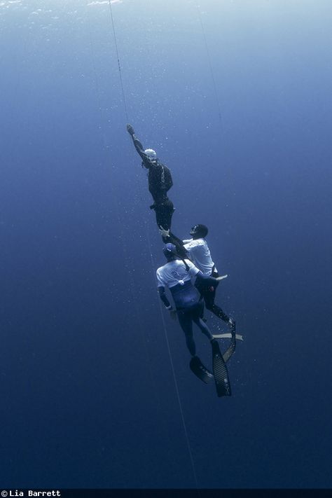 One Breath - Freediving Underwater Photography Free Diver, Skin Diving, Scuba Gear, Travel And Adventure, Free Diving, Ocean Lover, Underwater Photography, Extreme Sports, Web Series