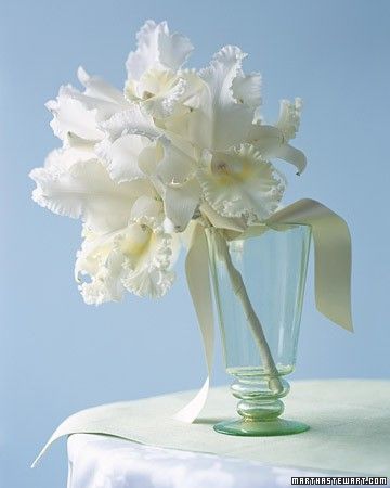 The drama of white Cattleya orchids is unmatched by perhaps any other flower. Clustered together, their gently ruffled petals are reminiscent of sea foam on a wave. A slender, wired handle wrapped in ivory satin ribbon makes an abundance of the creamy blooms seem all the more spectacular. Martha Stewart Weddings Flowers, Orchid Bouquet Wedding, Cattleya Orchids, Orchid Bouquet, Cattleya Orchid, White Iris, Orchid Wedding, White Wedding Bouquets, Martha Stewart Weddings