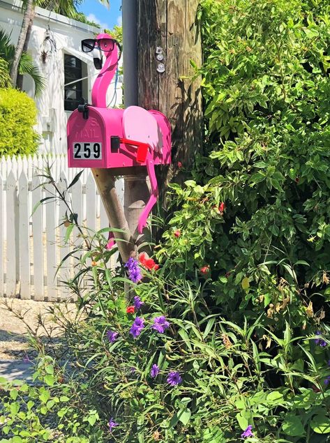 Florida Keys With Kids, Beach Mailbox, Sushi For Kids, Mailbox Ideas, Coconut Grove, House Decorations, Cute Family, Florida Keys, Cut Out Design