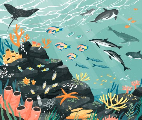 Lydia Hill on Behance Ocean Illustration, Sea Illustration, The 50 States, Storyboard Artist, Surf Art, Landscape Illustration, Childrens Illustrations, Ocean Art, 50 States