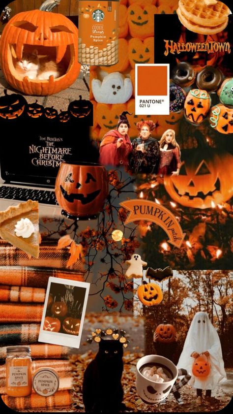 Pumpkin Song, Warm Halloween, Halloween Collage, Helloween Wallpaper, Halloween Wallpaper Iphone Backgrounds, Halloween Wallpaper Backgrounds, Fall Wallpapers, Halloween Wallpaper Cute, Halloween Wallpapers