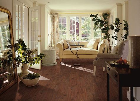 High Quality Products at Quantum Floors Birch Hardwood Floors, Red Oak Hardwood Floors, Maple Hardwood Floors, Red Oak Hardwood, Diy Wood Floors, Hickory Hardwood Floors, Shaw Flooring, White Oak Hardwood Floors, Armstrong Flooring