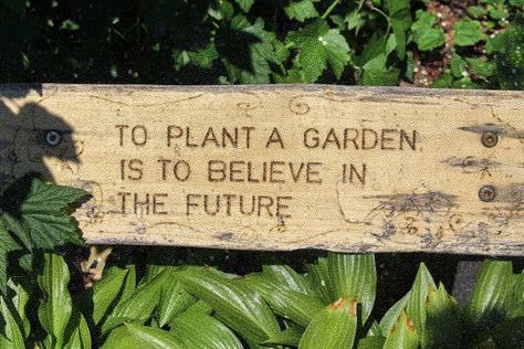 Photographie Portrait Inspiration, Unspoken Words, A Sign, Pretty Words, Pretty Quotes, A Garden, Mother Nature, Dream Life, Garden Plants