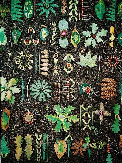 Tim Pugh - Environmental Artist. Great inspiration for kids nature art projects. #kidsinnature #DIYkids Environmental Artist, Creation Art, Earth Art, Nature Play, Forest Floor, Nature Crafts, Outdoor Art, Environmental Art, Land Art