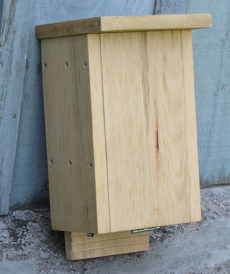 How to Build a Bat House - Lee Valley Tools Bat Habitat, Build A Bat House, Bat Box, Bat House, Trap Door, Small Hinges, Lee Valley Tools, Lee Valley, Workshop Ideas