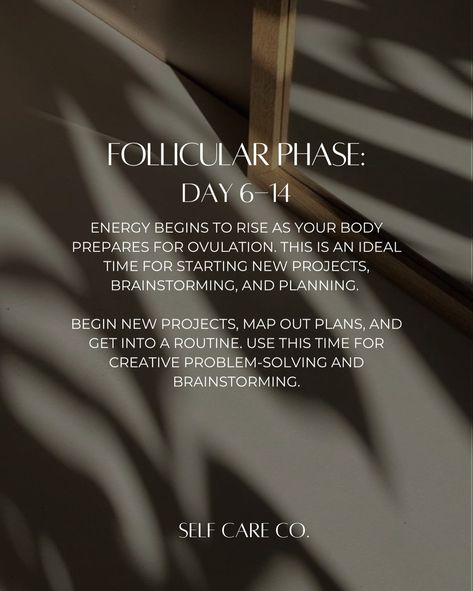 Planning projects around your menstrual cycle can help you align your tasks with your natural energy levels, leading to greater productivity and overall well-being. Here’s how to approach it: Menstrual Phase (Days 1-5): Energy is usually lower, making this a good time for reflection, evaluation, and strategic thinking; Set aside time for introspection, evaluation, and creative thinking. Rest and recharge. Consider journaling or planning. Follicular Phase (Days 6-14): Energy begins to rise a... Menstrual Phase, Follicular Phase, Rest And Recharge, Strategic Thinking, Creative Problem Solving, Natural Energy, Public Speaking, Creative Thinking, Energy Level