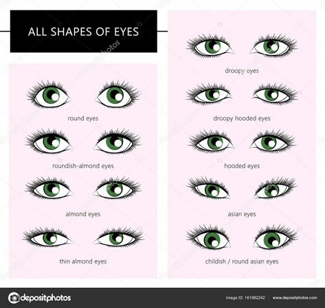 Shapes Of Eyes, Eye Shape Chart, Different Eye Shapes, Different Types Of Eyes, Eyes Vector, Eye Shape Makeup, Woman Eyes, Book Vector, Almond Shaped Eyes