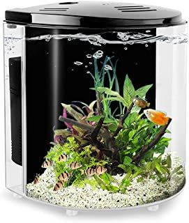 Goldfish In A Bowl, Betta Fish Bowl, Aquarium Grass, Goldfish Tank, Small Fish Tanks, Small Led Lights, Betta Aquarium, Fish Tank Lights, Aquarium Heater