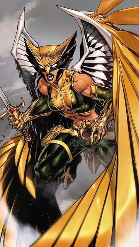 #dc #dccomics #hawkgirl Jim Lee Art, Robert E Howard, Accel World, Knights Of The Zodiac, Univers Dc, Jim Lee, Arte Dc Comics, Deathstroke, Marvel Girls