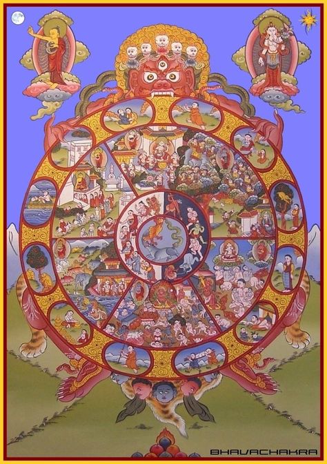 Samsara is the cycle of reincarnation. Catholic Answers, Buddhist Symbols, Buddhist Philosophy, Wheel Of Life, Wheel Of Fortune, Tibetan Buddhism, Tibetan Buddhist, Buddhist Art, Spiritual Art