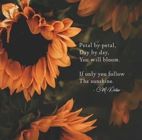 Sunflower Quotes, Fall Humor, Sunflower Pictures, Sunflower Wallpaper, Dear Self Quotes, Different Quotes, Flower Quotes, Motivational Words, Self Quotes