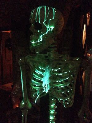 Nuclear Meltdown, Glowing Skeleton, Splatoon Aesthetic, Heebie Jeebies, Glow In The Dark Skeleton, Halloween Glow In The Dark, Dark Skeleton, Diy Glow, Park Ideas