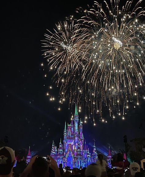 Walt Disney World Aesthetic, Magic Kingdom Aesthetic, Spring Picture Ideas, Disneyland Fireworks, Disney World Aesthetic, Disneyland Holidays, Orlando Photos, Disney Fireworks, Disneyland Pictures