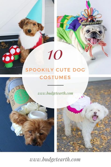 Looking for an adorable costume for dogs? Check out these 10 Spookily Cute Dog Costumes here! #HalloweenCostumes #DogHalloweenCostumes #HalloweenCostumesforDogs #Costumes #CostumesforDogs #dogs #Halloween #DIYHalloween #DIYCostumes Costume For Dogs, Cute Dog Costumes, Dogs Halloween, Spooky Halloween Costumes, Dog Diy, Diy Dog Costumes, Pet Halloween Costumes, Winter Ideas, Dog Projects