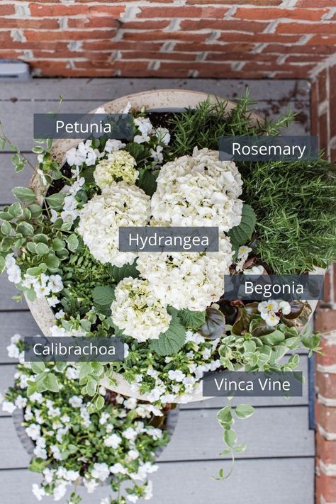 Porch Flowers, White Planters, Have Inspiration, Garden Containers, Home Landscaping, Front Yard Garden, White Gardens, Garden Cottage, Lawn And Garden