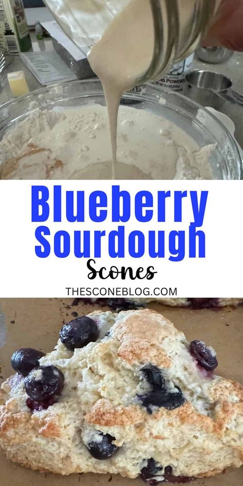 blueberry sourdough scones Discard Blueberry Scones, Sourdough Blueberry Scones, Sourdough Discard Scones Recipes, Blueberry Sourdough Scones, Sourdough Scones Recipe, Sourdough Discard Scones, Discard Scones, Sweet Scones Recipe, Blueberry Sourdough