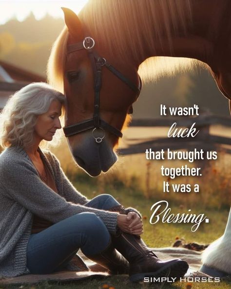 Heart Horse Quote, Horse Love Quotes, Cute Horse Quotes, Horsemanship Quotes, Horse Sayings, Horse Photoshoot Ideas, Equine Quotes, Horse Quotes Funny, Cowgirl Room