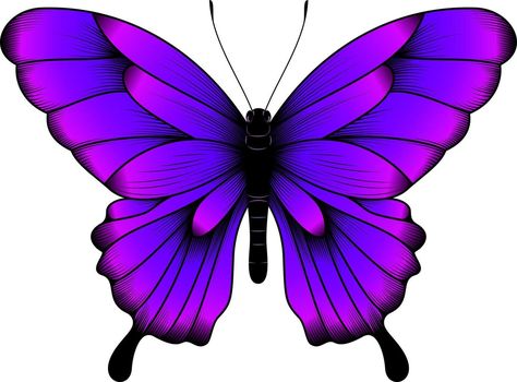 Butterfly Vector, Line Art Flowers, Beautiful Butterfly Pictures, Spring Animals, Butterfly Images, Butterfly Illustration, Butterfly Clip Art, Butterflies Flying, Butterfly Pictures