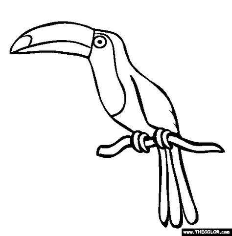 100% Free Bird Coloring Pages. Color in this picture of a Toucan and others with our library of online coloring pages. Save them, send them; they're great for all ages. Nursery Renovation, Brazil Animals, Rainforest Birds, Bird Coloring, African Jungle, Jungle Birds, Valentines Day Coloring Page, Rainforest Animals, Animal Illustration Art