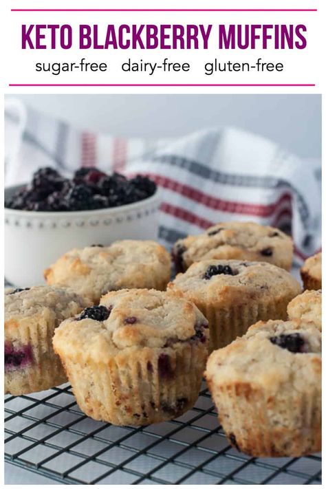 Low Carb Gluten Free Muffins, Blackberry Keto Dessert, Paleo Blackberry Recipes, Keto Blackberry Muffins, Gluten Free Blackberry Muffins, Blackberry Recipes Keto, Low Carb Blackberry Recipes, Keto Blackberry Recipes, Monkfruit Recipes