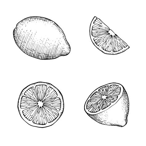 upper right corner Lemon Half Tattoo, Lemon Wedge Drawing, Lemon Slice Illustration, Limes Drawing, Lime Slice Tattoo, Lemon Wedge Tattoo, Lemon Slice Drawing, Lemon Slice Tattoo, Lemon Sketch