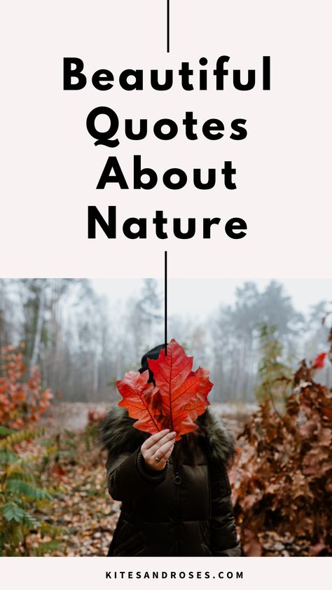 Looking for quotes about nature? Here are the true words and sayings that will help you appreciate and value the beauty of the Mother Nature. Nature Bliss Quotes, Appreciating Nature Quotes, Mother Nature Quotes Wisdom, Love For Nature Quotes, Love Of Nature Quotes, Appreciate Nature Quotes, Nature And Love Quotes, Mother Nature Quotes Beauty, Quotes About Nature And God