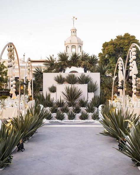 Juan Pablo Partida | Wedding Planner on Instagram: "Irina & Bryan  With a unique destination, within its rustic and colonial architecture, we wanted to design with the AGAVE concept, perfectly recognizing the plants of origin. We primarily chose blue agaves to be part of the decoration. While in the lounge, guests awaited the main entrance of the bride and groom, the sun set directly in front of the hacienda’s main dome.  To toast their love, an inspiration from the very place of origin.  Bride @irinagarciam  Groom @b_rangel3  Florist @michellepourroy  Audio & lighting @lax_producciones  DJ @djbatre  Furniture @petremobiliario Veníue @haciendaelcentenario   Photo @visor.dep.foto" Spanish Ranch Wedding, Agave Wedding Decor, Tequila Mexico Wedding, Guest Entrance Wedding, Colonial Wedding Decor, Colonial Wedding Theme, Casa Feliz Wedding, Agave Wedding, Hacienda Wedding Decor