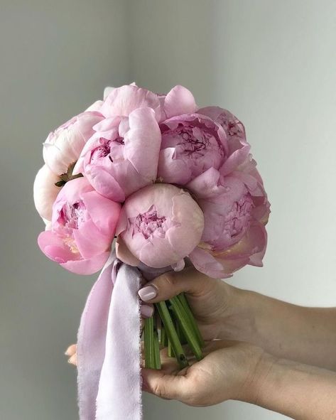 Wedding Bouquets Blush Pink, Kerala Christian Bride, Pink Peony Bouquet Wedding, Floral Wedding Bouquets, Bride Bouquet Pink, Wedding Floral Bouquet, Bride Flower Bouquet, Bride With Bouquet, Bridal Bouquet Ideas