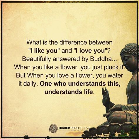 Buddhist Quotes, Buddha Quote, Quotes Thoughts, Simple Quotes, Life Quotes Love, Buddha Quotes, Quotable Quotes, About Love, Great Quotes