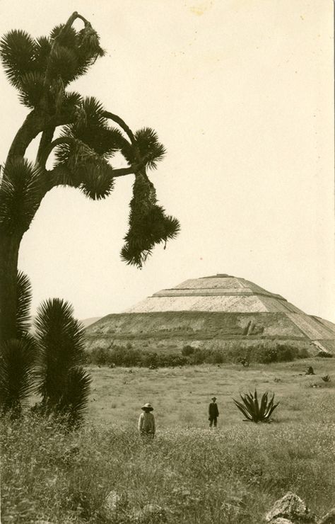 La Piramide del Sol, San Juan Teotihuacan, ca. 1906-1920 Blue Candle Cactus, Stone Archway, Mexican Wall, Central University, Mexico Culture, Mexico Art, Mexican Culture, Indigenous Art, Mexican Art