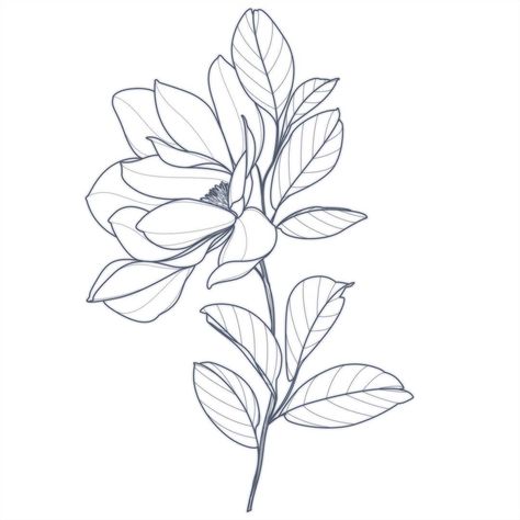 Lotusblume Tattoo, Flower Magnolia, Hirsch Tattoo, Magnolia Tattoo, Flower Drawing Tutorials, Instagram Tattoo, Tattoo Sketch, Black Work, Tattoo Outline