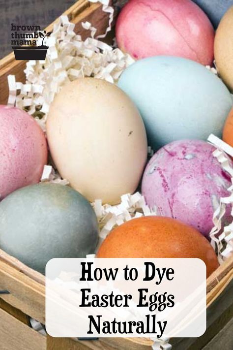 How to Dye Easter Eggs Naturally Natural Egg Dye, Color Eggs, Natural Easter Eggs, Dye Easter Eggs, Naturally Dyed Easter Eggs, Colored Eggs, Egg Dye, Brown Eggs, Easter Egg Dye