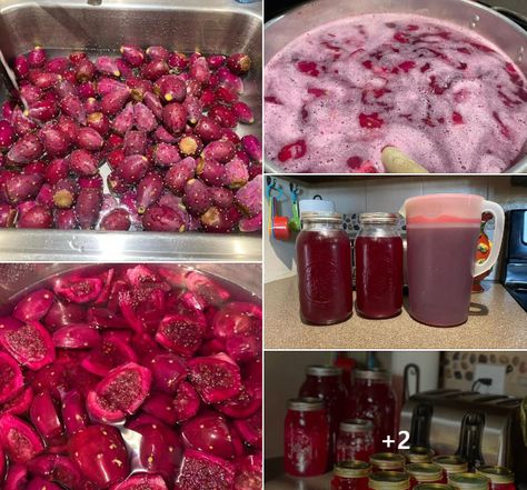 Prickly Pear Recipes Jelly, Prickly Pear Jalapeno Jelly, Pear Jelly Recipes, Prickly Pear Jelly, Prickly Pear Recipes, Substitute For Brown Sugar, Pear Jelly, Summer Canning, Prickly Pear Juice