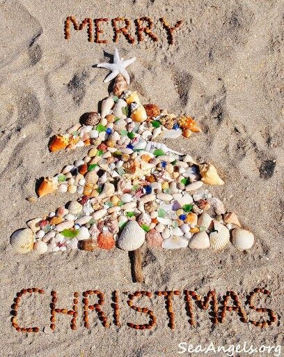 Beach Christmas Pictures, Meery Christmas, Christmas Travel Destinations, Seashell Christmas, Christmas Card Sayings, Christmas Beach, Aussie Christmas, Coastal Christmas Decor, Beachy Christmas