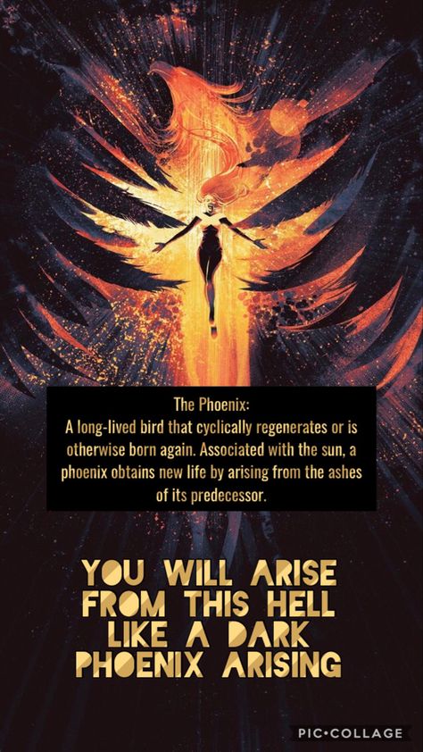 2025 Reflection, Revenge Motivation, Phoenix Rising From Ashes, Phoenix Quotes, Phoenix Rising From The Ashes, Dragons Lair, Phoenix Bird Art, Beautiful Tree Houses, Ceiling Decorations