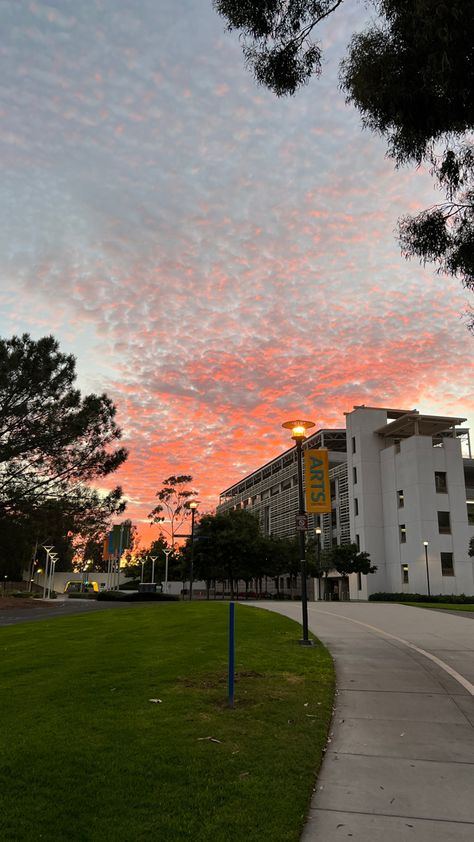 Uc Santa Barbara Campus, California School Aesthetic, Ucsd College Aesthetic, Uc Santa Barbara Aesthetic, Ucsb College Aesthetic, Ucsd Aesthetic, Ucsb Aesthetic, Sdsu Aesthetic, Ucsb Campus