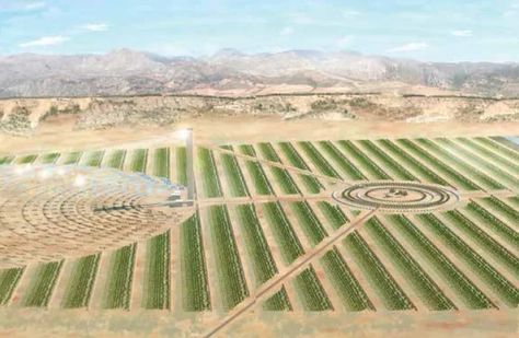 Desert Farms: Reclaiming the Deserts and Farming the Unfarmable Irish Witch, Kandahar Afghanistan, Concentrated Solar Power, Ireland Country, Green Jobs, Country Sports, Growing Cucumbers, The Sahara Desert, Thermal Energy