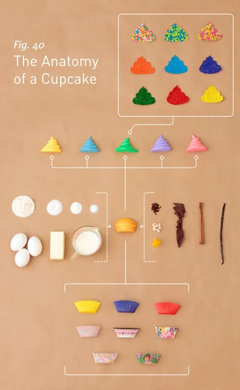 Anatomy of a Cupcake Design Cibo, Love Cupcakes, Cupcake Cake, Baking Tips, Food Design, Eat Cake, Cake Pops, Food Art, Sweet Recipes