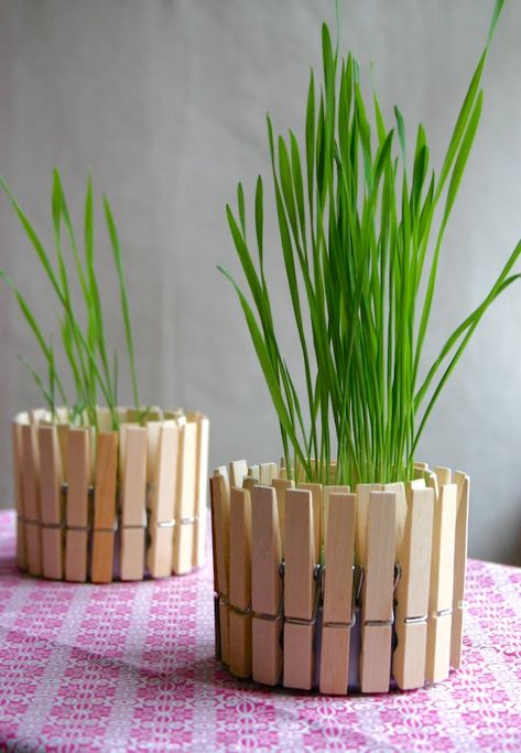 Diy Flores, Fleurs Diy, Diy Flower Pots, Deco Originale, Diy Simple, Clothes Pin Crafts, Recycled Projects, Deco Floral, Wooden Pegs