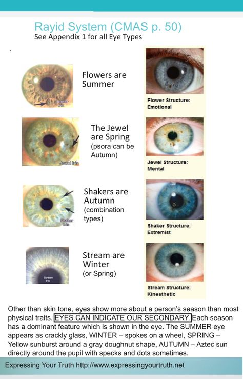 expressing your truth blog: Celebrity Eye Patterns - Updated Summer Eye Pattern, Spring Eye Pattern, Summer Celebrities, Eye Types, Soft Summer Makeup, Soft Autumn Color Palette, Soft Summer Color Palette, Light Spring Colors, Summer Eyes