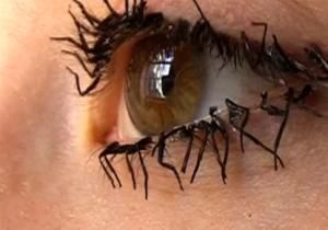 A British artist is raising eye brows with her latest Fly-Lashes - fake eye lashes which are made out of fly legs. Yes, fly legs. Insect Legs, Fake Eye, Creepy Facts, Fear Of Flying, Fake Lashes, Innovative Fashion, Fake Eyelashes, Eye Art, British Artist