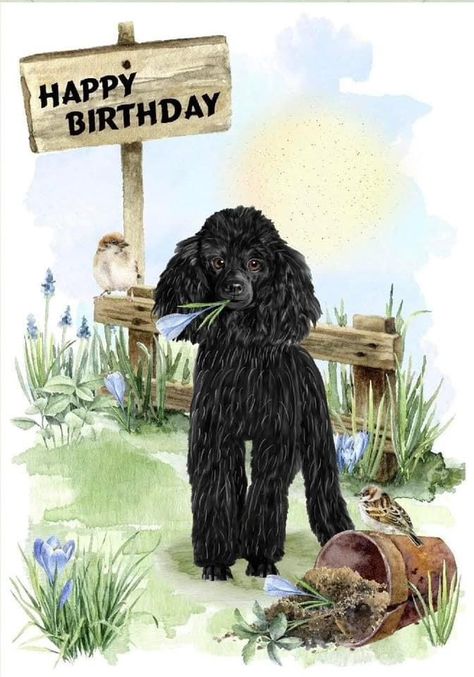 Paper Fridge, Poodle Card, Poodle Black, Dog Happy Birthday, Poodle Mom, 6 Birthday, Vintage Birthday Cards, Dog Happy, Envelope Card