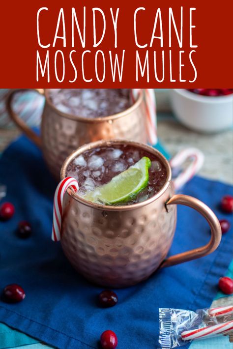 Candy Cane Moscow Mules | A Nerd Cooks Cocktail Pairing, Ginger Beer Drinks, Moscow Mule Drink, Mule Drink, Peppermint Vodka, Moscow Mule Cocktail, Moscow Mules, Moscow Mule Recipe, Mule Cocktail