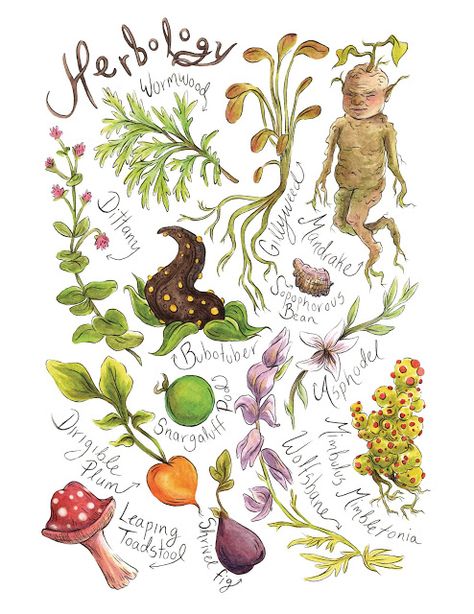 Movie Treasures By Brenda: Harry Potter Herbology Print. Ace that Hogwarts School of Witchcraft and Wizardry exam! Harry Potter Herbology, Harry Potter Plants, Classe Harry Potter, Harry Potter Bedroom, School Of Witchcraft, Harry Potter Tattoo, Harry Potter Tattoos, Harry Potter Hufflepuff, Geniale Tattoos