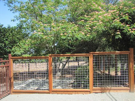 Hog Wire Fence 4.2 | Like what you see? Call Guy's Fencing a… | Flickr Cattle Panel Fence, Outdoor Nook, Hog Wire Fence, Panel Fence, Cattle Panels, Gate Designs, Fencing Ideas, Types Of Fences, Front Yard Fence