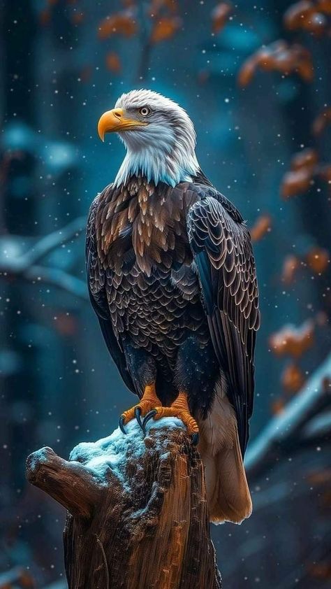 Aigle Royal, Birds Photography Nature, Tattoo World, Wild Animal Wallpaper, Small Bird Tattoo, Wild Animals Photography, Eagle Images, Eagle Wallpaper, Eagle Pictures