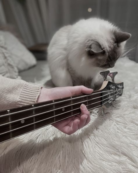 Bass Girl Aesthetic, Bass Player Aesthetic, Bass Guitar Aesthetic, Bass Aesthetic, Guitar Aesthetic, Van Helsing, Character Aesthetics, Playlist Covers, Gray Aesthetic